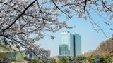 <b>DoubleTree by Hilton Pangyo Residences Exterior</b>. Images powered by <a href="https://iceportal.shijigroup.com/" title="IcePortal" target="_blank">IcePortal</a>.