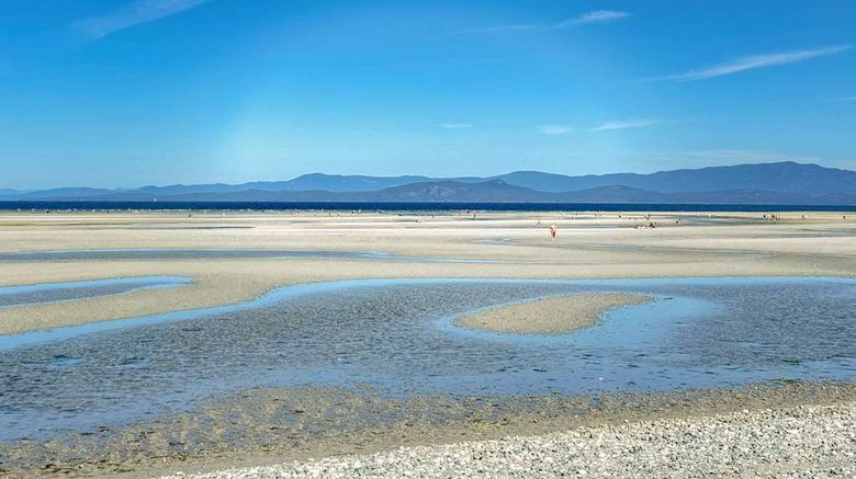 <b>Coast Parksville Hotel Beach</b>. Images powered by <a href="https://iceportal.shijigroup.com/" title="IcePortal" target="_blank">IcePortal</a>.