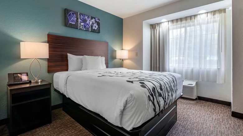<b>Sleep Inn Jacksonville Airport Room</b>. Images powered by <a href="https://iceportal.shijigroup.com/" title="IcePortal" target="_blank">IcePortal</a>.