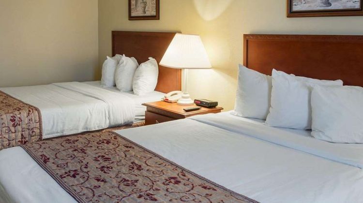 Rodeway Inn Greeneville Downtown Room
