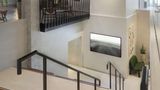 Iceland Parliament Hotel, Curio Hilton Lobby