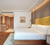 DoubleTree by Hilton BengaluruWhitefield Room
