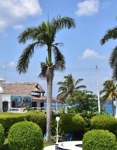 VillaBlanca Garden Beach Hotel