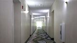 <b>MainStay Suites Other</b>. Images powered by <a href="https://iceportal.shijigroup.com/" title="IcePortal" target="_blank">IcePortal</a>.