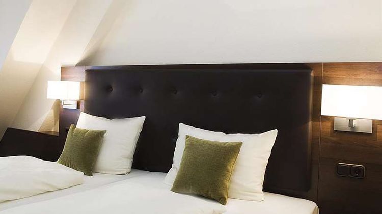 Ringhotel Nassau-Oranien Room