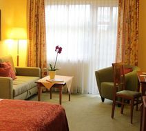 Ringhotel Zum Stein Room