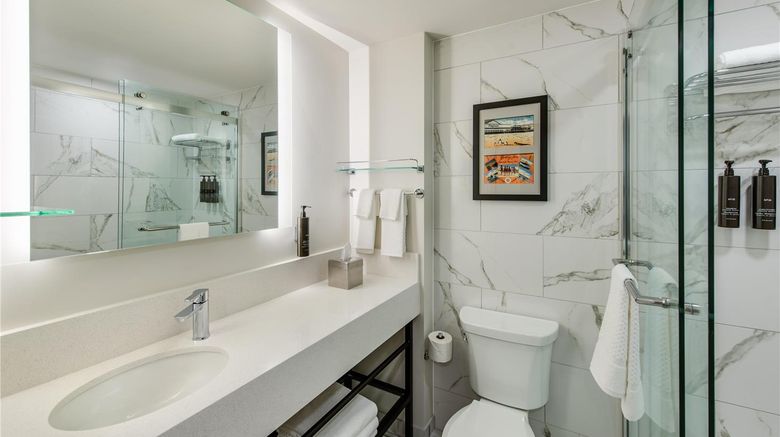 <b>Coast Rehoboth Beach Tapestry Collection Room</b>. Images powered by <a href="https://iceportal.shijigroup.com/" title="IcePortal" target="_blank">IcePortal</a>.