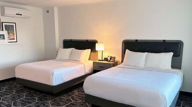 <b>La Quinta Inn & Suites Rosemont/O'Hare Room</b>. Images powered by <a href="https://iceportal.shijigroup.com/" title="IcePortal" target="_blank">IcePortal</a>.