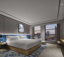 Hilton Garden Inn Xiangdu District Room