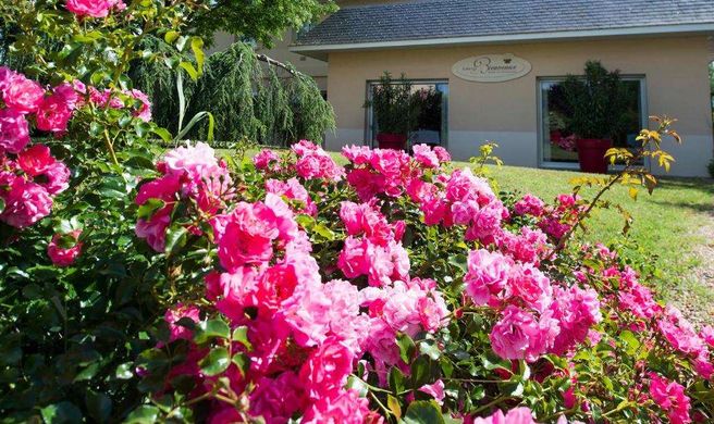 Auberge Bienvenue Exterior