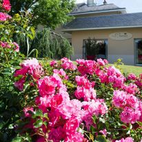 Auberge Bienvenue