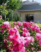 Auberge Bienvenue
