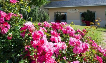 Auberge Bienvenue