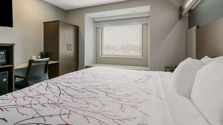 SureStay Plus Hotel by BW Sevierville Room