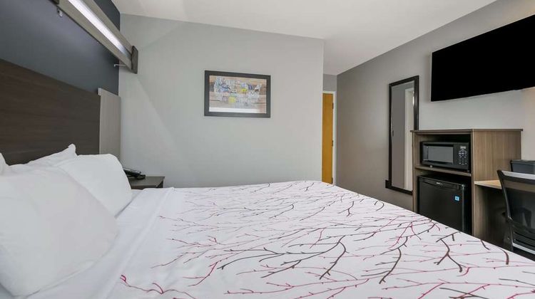 SureStay Plus Hotel by BW Sevierville Room