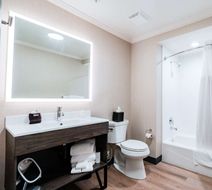 Hotel NoBo Cascade, Tapestry Collection Room