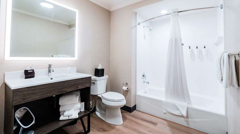 <b>Hotel NoBo Cascade, Tapestry Collection Room</b>. Images powered by <a href="https://iceportal.shijigroup.com/" title="IcePortal" target="_blank">IcePortal</a>.