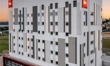 Ibis Aruja