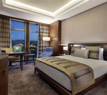 Moevenpick Malatya Hotel Room