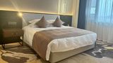 Howard Johnson Bole Plaza Chengwu Room