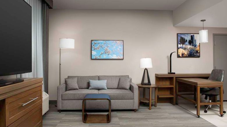 <b>Homewood Suites by Hilton Greenville Room</b>. Images powered by <a href="https://iceportal.shijigroup.com/" title="IcePortal" target="_blank">IcePortal</a>.