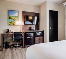Comfort Inn & Suites Tobago Room