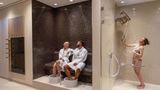 Maritim Hotel Ingolstadt Spa