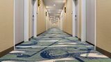 Hampton Inn and Suites Amarillo Lobby