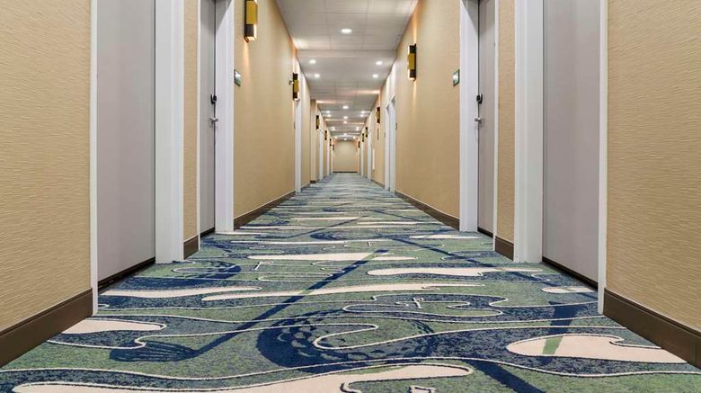 <b>Hampton Inn and Suites Amarillo Lobby</b>. Images powered by <a href="https://iceportal.shijigroup.com/" title="IcePortal" target="_blank">IcePortal</a>.