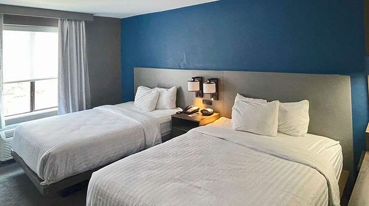 Comfort Suites Mobile-South Room