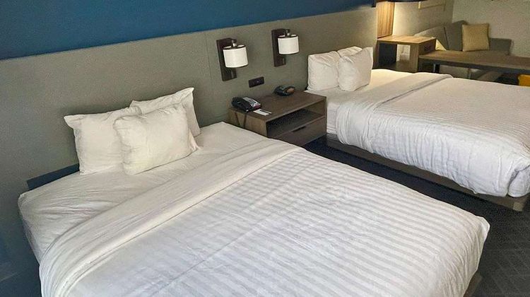 Comfort Suites Mobile-South Room