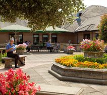 Bridgewood Manor Hotel Exterior