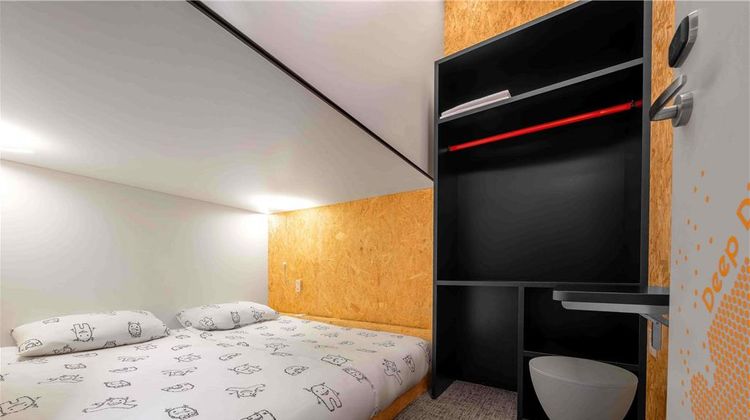 Ibis Styles Ljubljana The Fuzzy Log Room