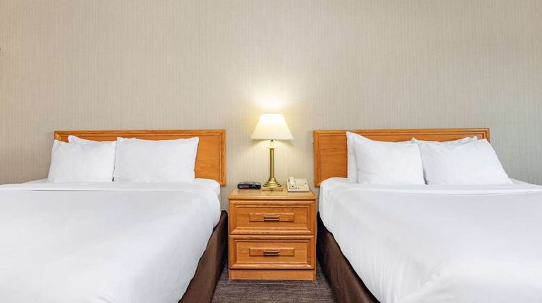 <b>Travelodge by Wyndham Bridgewater Room</b>. Images powered by <a href="https://iceportal.shijigroup.com/" title="IcePortal" target="_blank">IcePortal</a>.