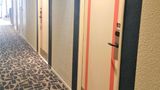 <b>Ibis Budget Tours Sud Room</b>. Images powered by <a href="https://iceportal.shijigroup.com/" title="IcePortal" target="_blank">IcePortal</a>.