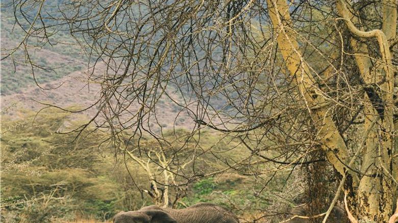<b>Ngorongoro Lodge Melia Collection Room</b>. Images powered by <a href="https://iceportal.shijigroup.com/" title="IcePortal" target="_blank">IcePortal</a>.