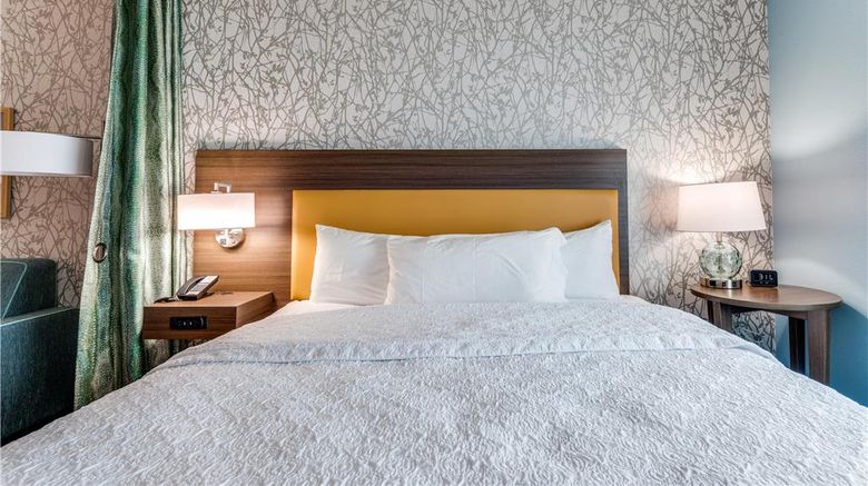 <b>Home2 Stes Dallas Medical Dist Lovefield Room</b>. Images powered by <a href="https://iceportal.shijigroup.com/" title="IcePortal" target="_blank">IcePortal</a>.