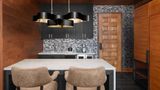 <b>Hotel Fraye Nashville, Curio Collection Other</b>. Images powered by <a href="https://iceportal.shijigroup.com/" title="IcePortal" target="_blank">IcePortal</a>.