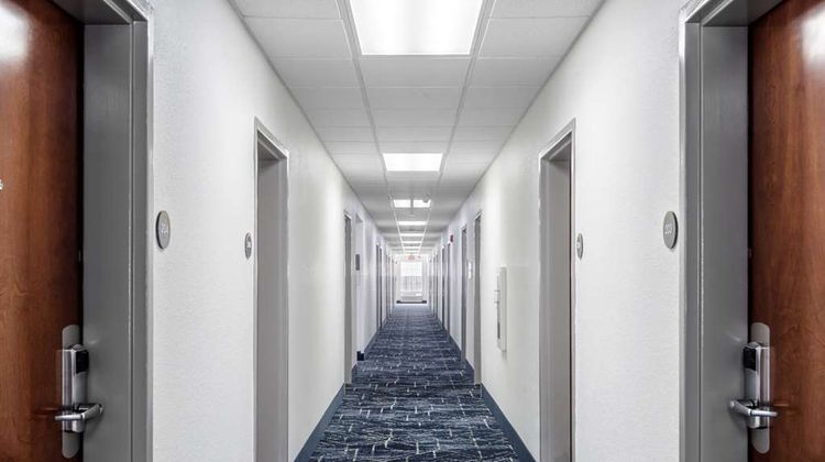 Comfort Inn and Suites Lexington South Other