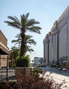 Horseshoe Las Vegas
