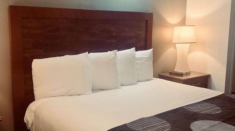 Oceanside Inn & Stes Days Inn by Wyndham Room