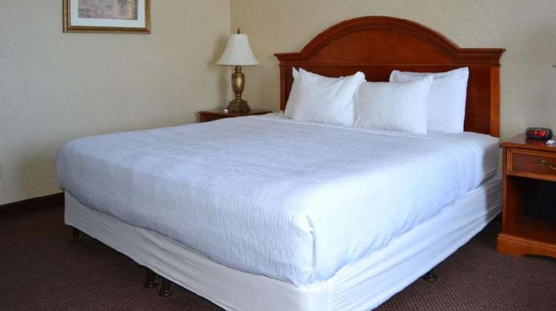 <b>Clarion Inn Idaho Falls Room</b>. Images powered by <a href="https://iceportal.shijigroup.com/" title="IcePortal" target="_blank">IcePortal</a>.
