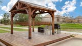 Comfort Suites The Woodlands Other