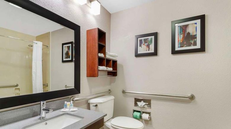 <b>Comfort Suites The Woodlands Room</b>. Images powered by <a href="https://iceportal.shijigroup.com/" title="IcePortal" target="_blank">IcePortal</a>.