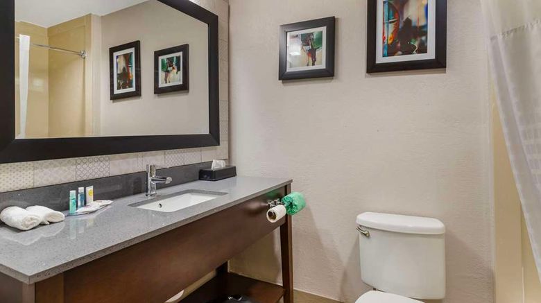 <b>Comfort Suites The Woodlands Room</b>. Images powered by <a href="https://iceportal.shijigroup.com/" title="IcePortal" target="_blank">IcePortal</a>.