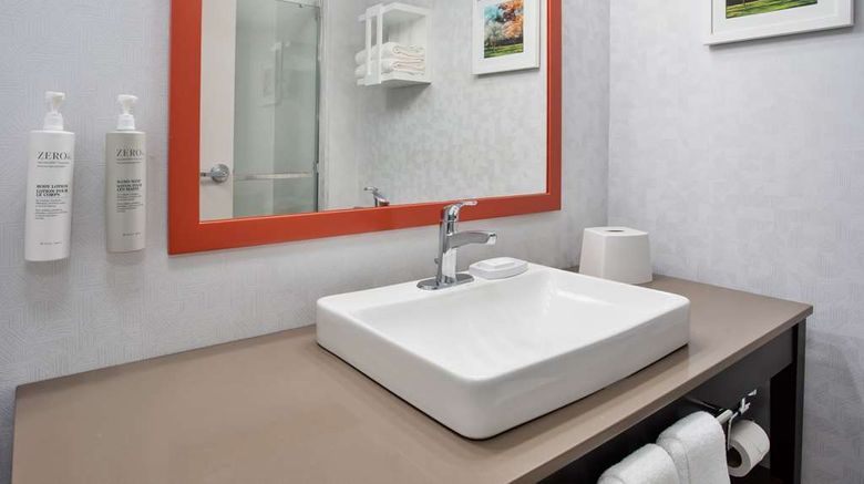<b>Hampton Inn & Suites Newark Airport Room</b>. Images powered by <a href="https://iceportal.shijigroup.com/" title="IcePortal" target="_blank">IcePortal</a>.