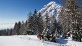Interalpen Hotel Tyrol Exterior