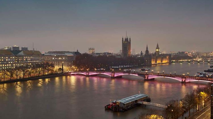 Hyatt Regency London Albert Embankment Other