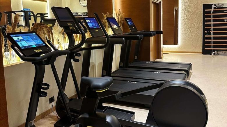 <b>Swissotel Tbilisi Health</b>. Images powered by <a href="https://iceportal.shijigroup.com/" title="IcePortal" target="_blank">IcePortal</a>.