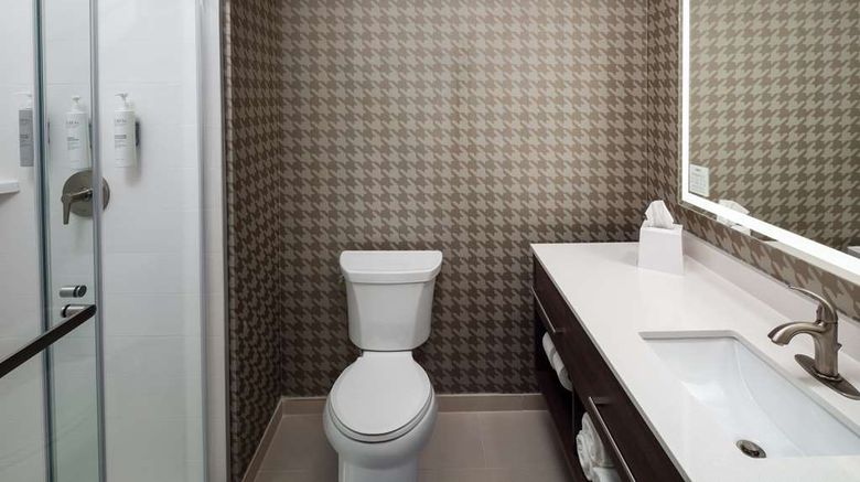 <b>Home2 Suites by Hilton San Jose South Room</b>. Images powered by <a href="https://iceportal.shijigroup.com/" title="IcePortal" target="_blank">IcePortal</a>.